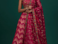 Peach Zariwork Banarasi Designer Semi-Stitched Lehenga